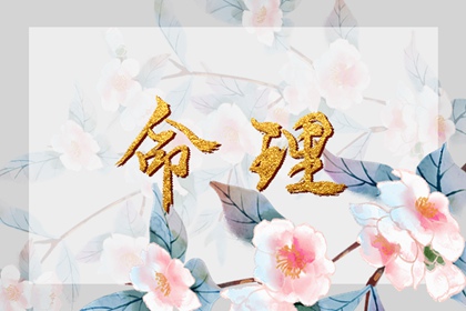 老黄历2025年黄道吉日|黄道吉日网|出行黄道吉日